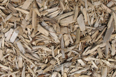 biomass boilers Comers